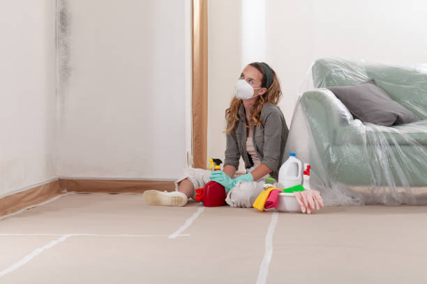 Reliable Attic Mold Removal contractor in Bensenville, IL by WQB Mold Removal
